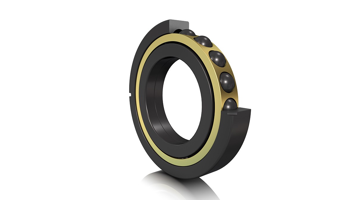 FAG four point contact bearing